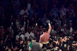 拳击成人比赛视频完整版,拳击成人比赛精彩瞬间回顾