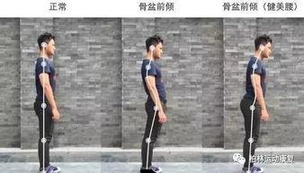 成人驼背健身方法视频讲解,成人健身视频教程详解
