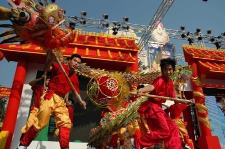 舞龙道具成人大型视频,成人大型视频中的精彩瞬间回顾