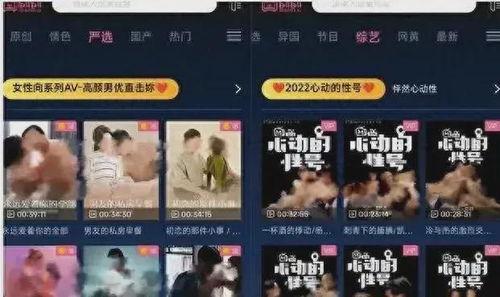 国产成人禁密视频网站,暗流涌动的网络世界