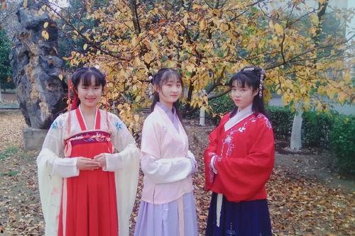 汉服女成人打底衣视频大全,女性成人打底衣视频大全赏析