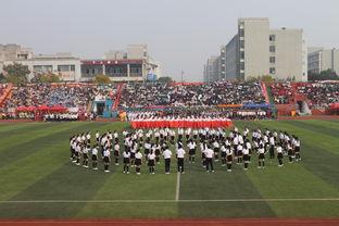 成人集体团体操视频,成人团体操视频赏析