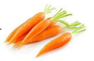 红萝卜变成人参视频,红萝卜的奇幻人参之旅