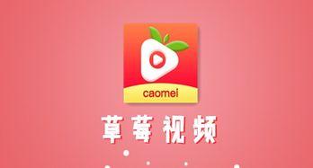 草莓视频免费下载成人版